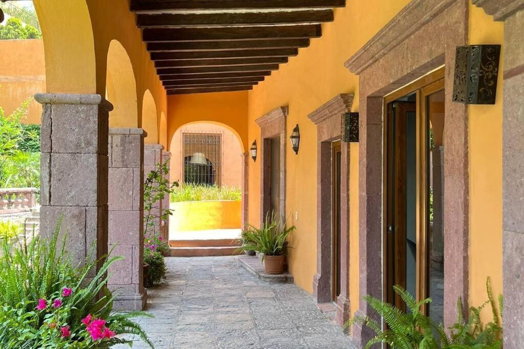 Apartment Cousy San Rafael, 3 Blocks From The Parish, Pool, Bbq And Terrace *